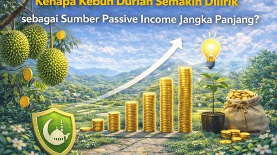 Kenapa Kebun Durian Semakin Dilirik sebagai Sumber Passive Income Jangka Panjang?